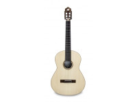 APC CGS 312 APC CGS 312